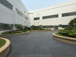 Mapex (D20), Factory #635094931